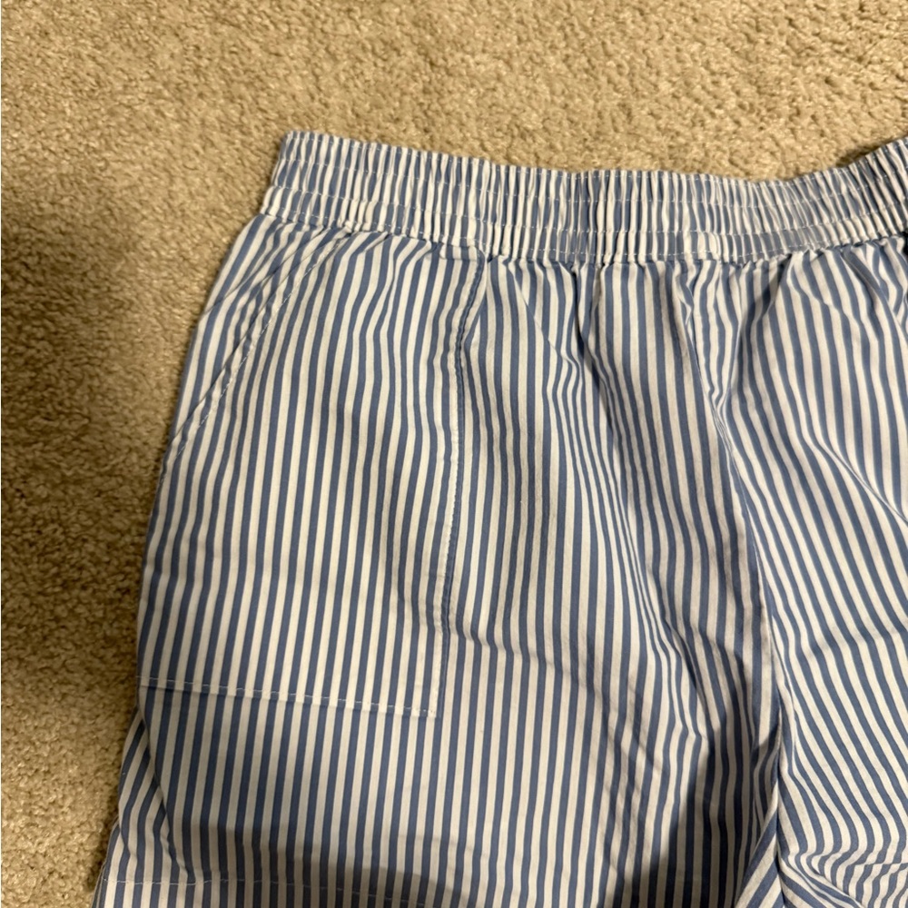 Hollister Blue and White Striped Women's Shorts
